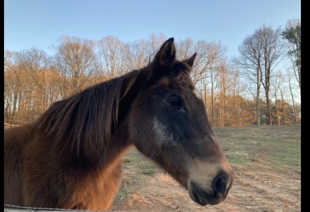 Entry image for JC. Clicking this image will show a larger photo