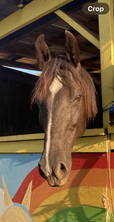 Entry image for River. Clicking this image will show a larger photo