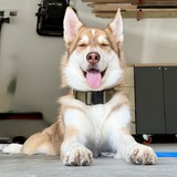 Entry image for Maverick 