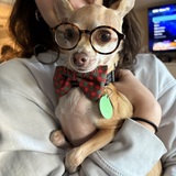 Entry image for Bubba Gump