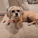 Entry image for Buffy