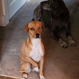 Entry image for Chelsie Blue