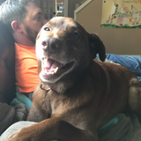 Entry image for Taco 