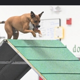 Entry image for Hershey 