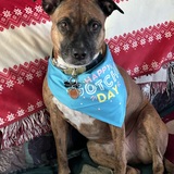 Entry image for Isadora 