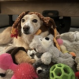 Entry image for Isabel Stephens 