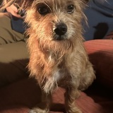 Entry image for Brooke 