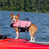 Entry image for Daisy