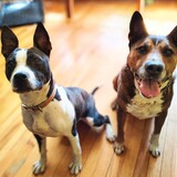 Entry image for Pepsi & Olive