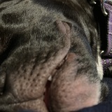 Entry image for Maggie