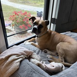 Entry image for Cami