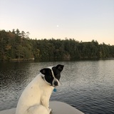 Entry image for Katy Little