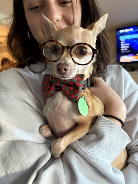 Entry image for Bubba Gump. Clicking this image will show a larger photo