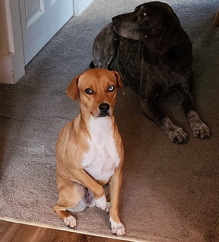 Entry image for Chelsie Blue. Clicking this image will show a larger photo