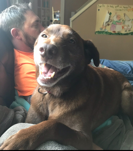 Entry image for Taco . Clicking this image will show a larger photo