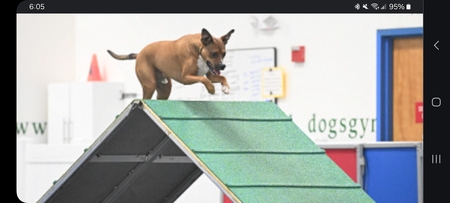 Entry image for Hershey . Clicking this image will show a larger photo