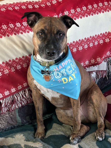 Entry image for Isadora . Clicking this image will show a larger photo