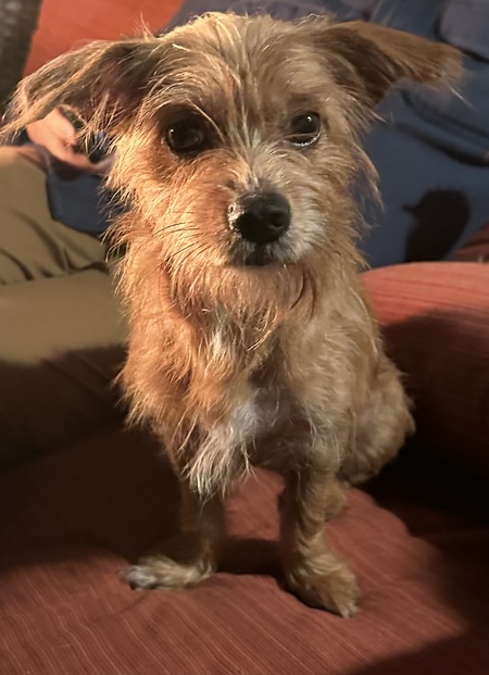 Entry image for Brooke . Clicking this image will show a larger photo