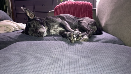 Entry image for Maebug. Clicking this image will show a larger photo