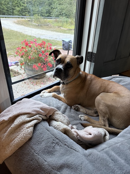 Entry image for Cami. Clicking this image will show a larger photo