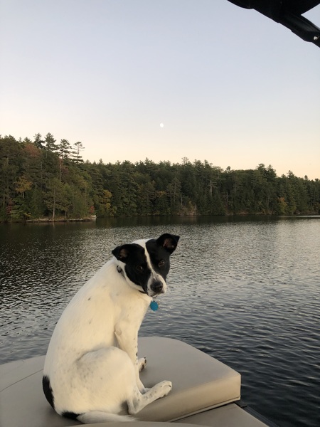 Entry image for Katy Little. Clicking this image will show a larger photo