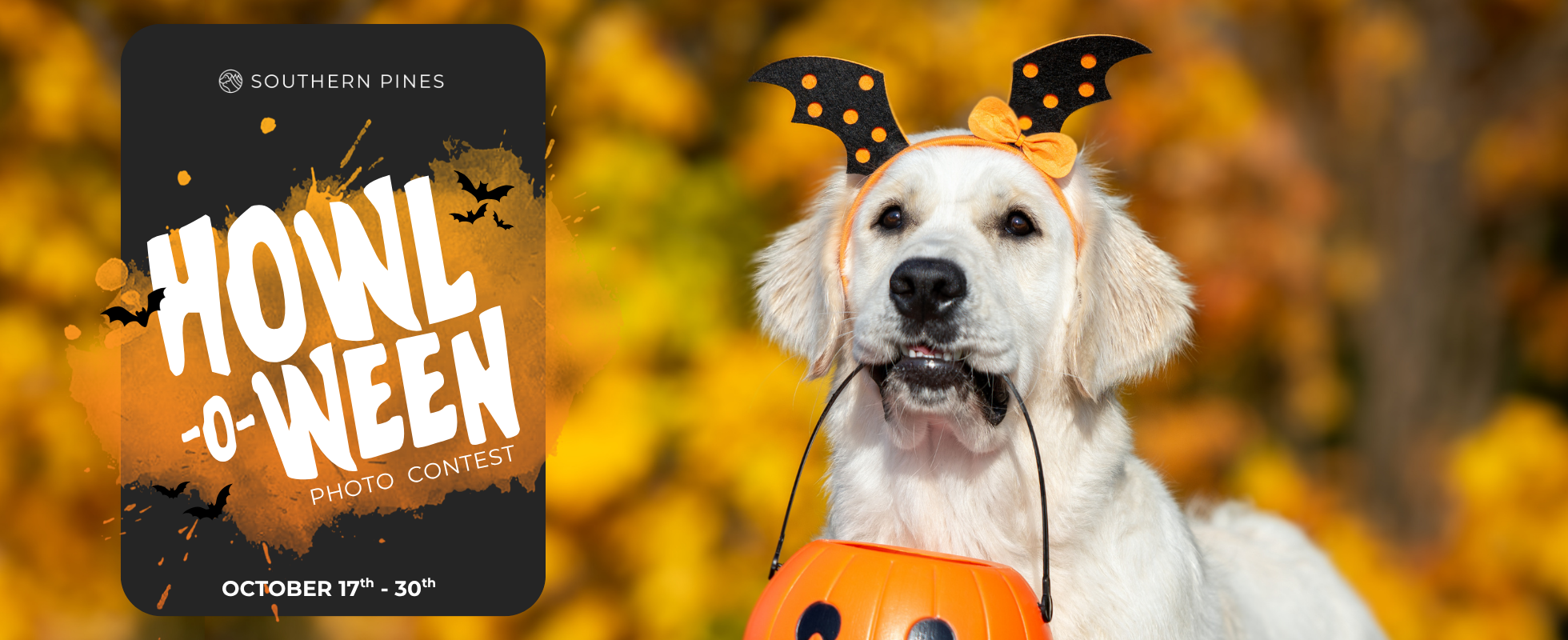 Banner for Howl-o-ween Photo Contest