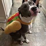 Entry image for Leroy 