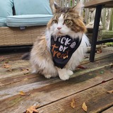 Entry image for Morgan