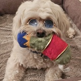 Entry image for Audie