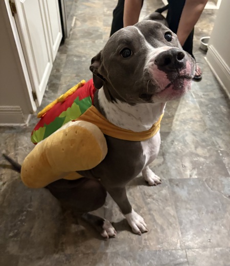 Entry image for Leroy . Clicking this image will show a larger photo