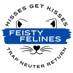 Logo for Feisty Felines Calendar Contest 2025