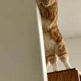 Entry image for Manny