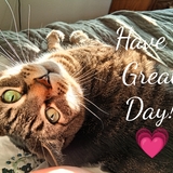 Entry image for Cindy 