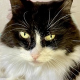 Entry image for Walter