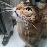 Entry image for Bruce