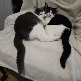 Entry image for Zeke & George