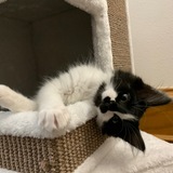 Entry image for Paris