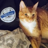 Entry image for Hobbes 