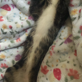 Entry image for Helen