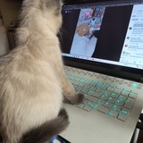 Entry image for Galinda