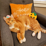 Entry image for Hobbes 