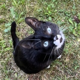 Entry image for River