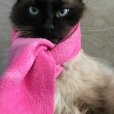 Entry image for Franklin