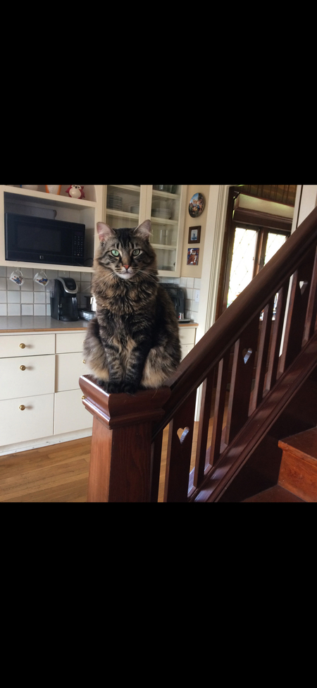 Entry image for Jesse. Clicking this image will show a larger photo