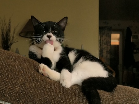 Entry image for Perri. Clicking this image will show a larger photo