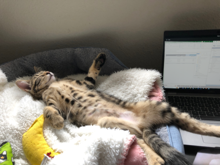 Entry image for Happy. Clicking this image will show a larger photo