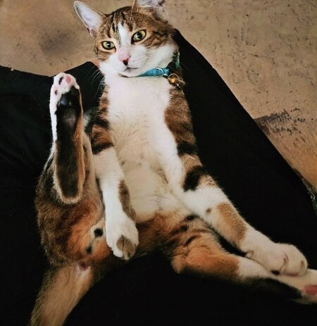 Entry image for Houston. Clicking this image will show a larger photo