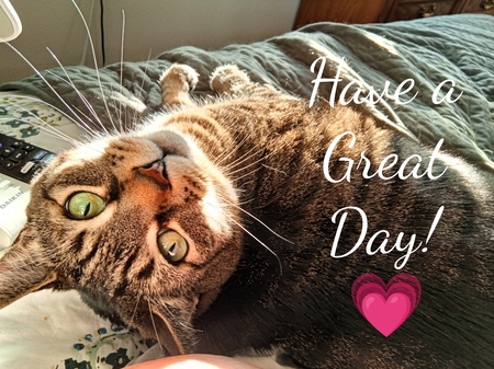 Entry image for Cindy . Clicking this image will show a larger photo