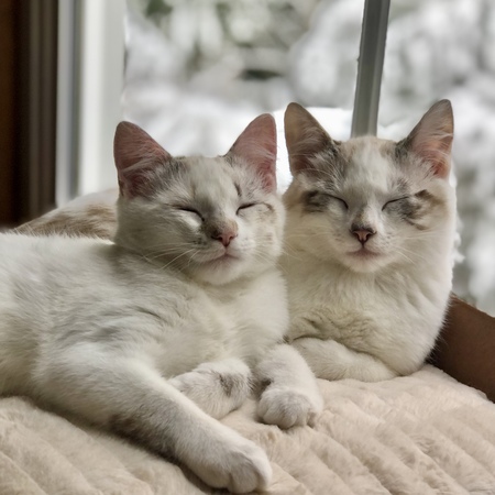 Entry image for Pearl & Otis . Clicking this image will show a larger photo