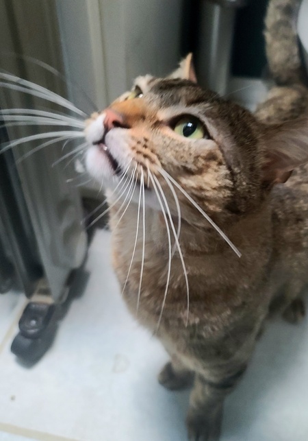 Entry image for Bruce. Clicking this image will show a larger photo